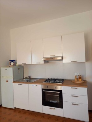 Fridge, oven, stovetop, dishwasher