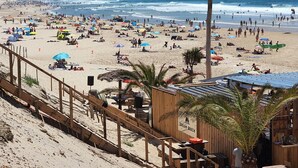 A beach with wooden walkways, a wooden building labeled 'DREAM BEACH', and palm trees. - Charming house in Biscarrosse Plage with heated swimming pool  (Nouvelle-Aquitaine)