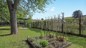 A garden with raised beds, a tree, and a wooden fence.