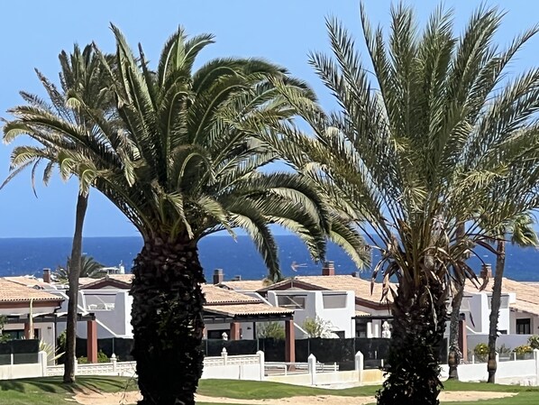 Un quartier résidentiel situé sur la côte, avec des palmiers et des maisons aux toits de tuiles.