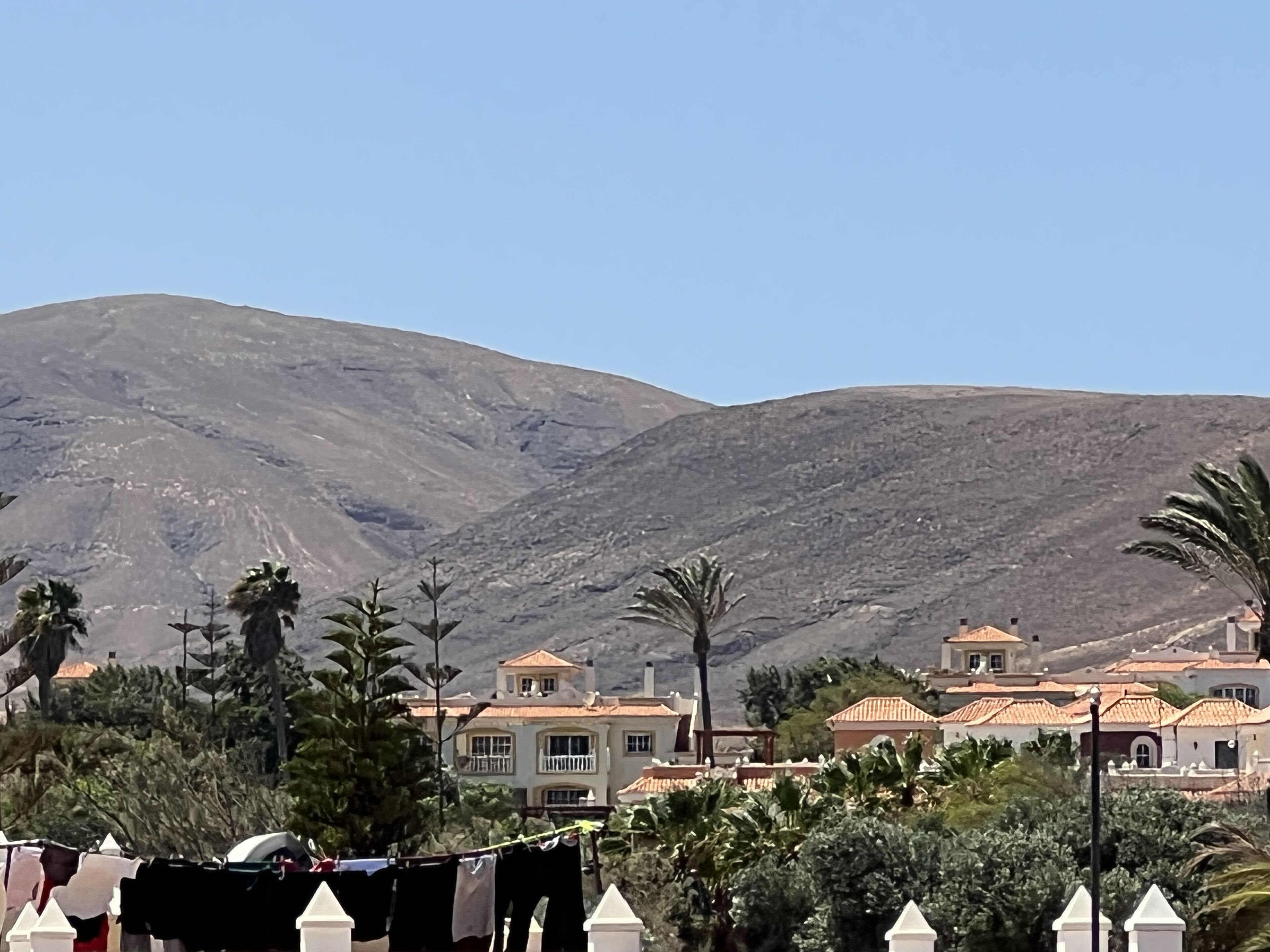 A residential area with houses, palm trees, and mountains in the background.