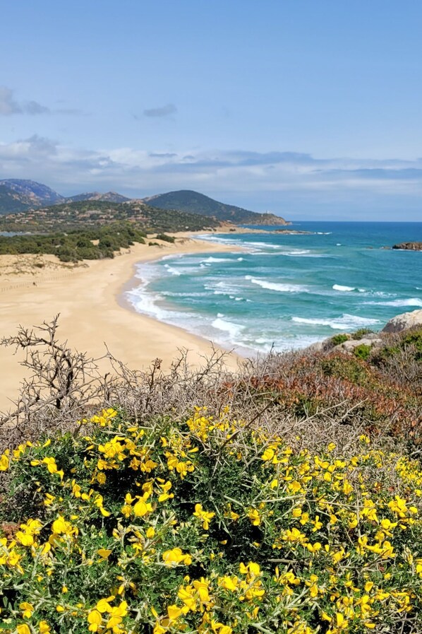 On the beach, sun loungers - Exclusive Villa with Sea View in Chia, 3 double bedrooms and 3 bathrooms. (Sardegna)