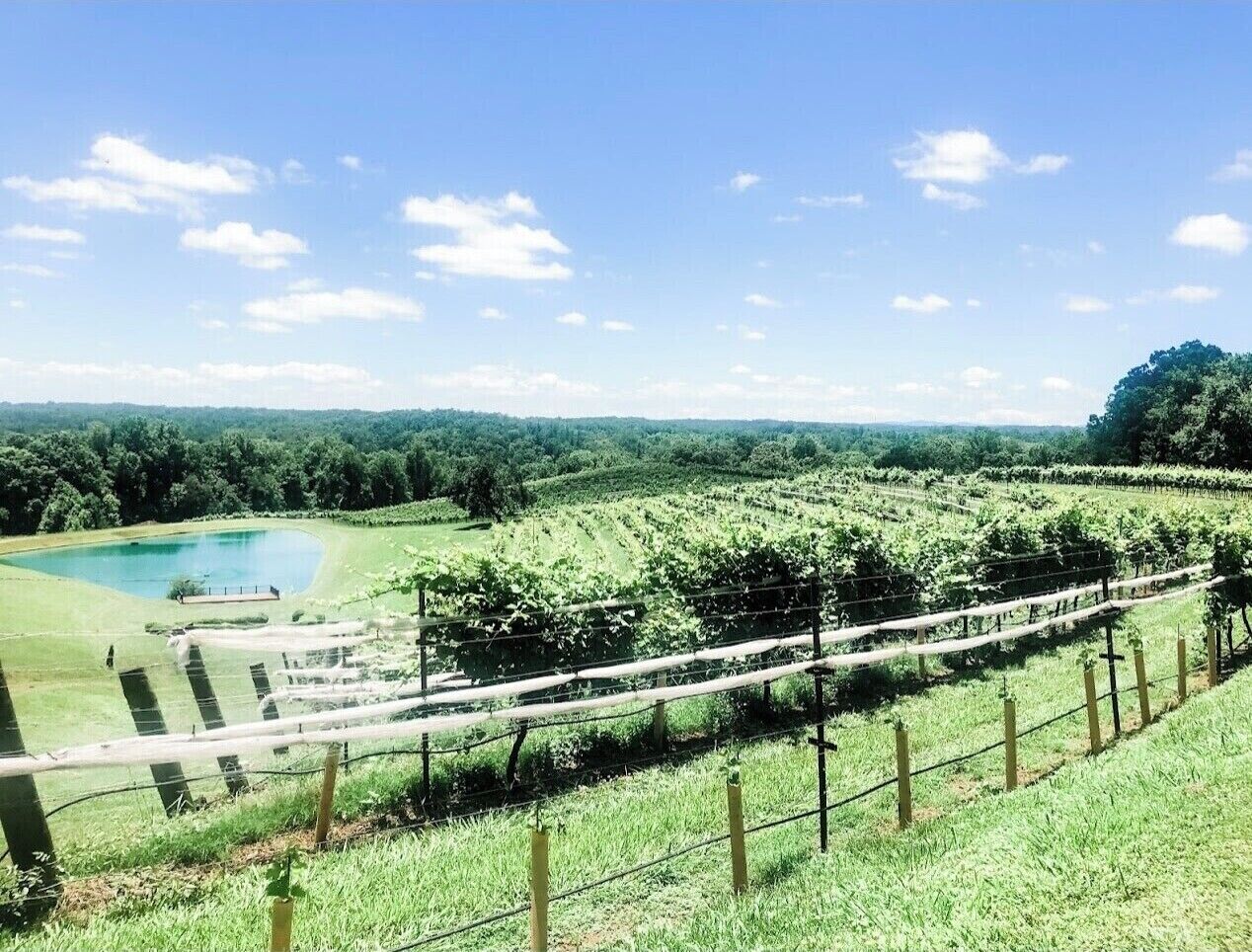 Terrain de l’hébergement 