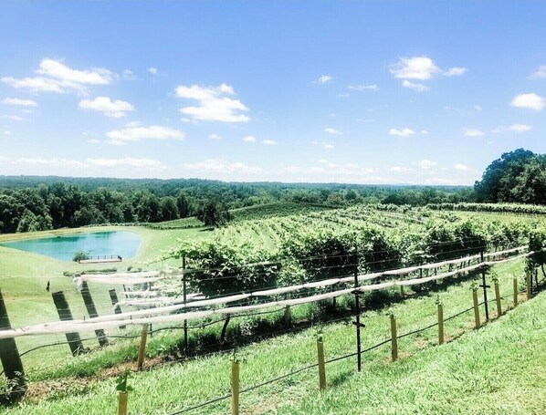 Áreas de la propiedad