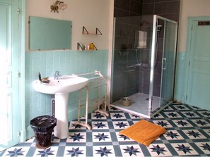 Shower, hair dryer, soap, toilet paper