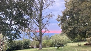 Ein grasbewachsener Außenbereich mit Bäumen, einem Picknicktisch und Blick zum Himmel.