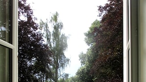 Blick durch ein offenes Fenster auf einen gepflegten Garten mit Rasen, Bäumen und einem kleinen Teich.
