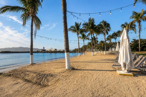 A beach with palm trees, string lights, and beach chairs.