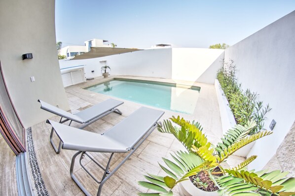 Un área de piscina en la azotea con dos sillones de descanso, una piscina pequeña y plantas en macetas.