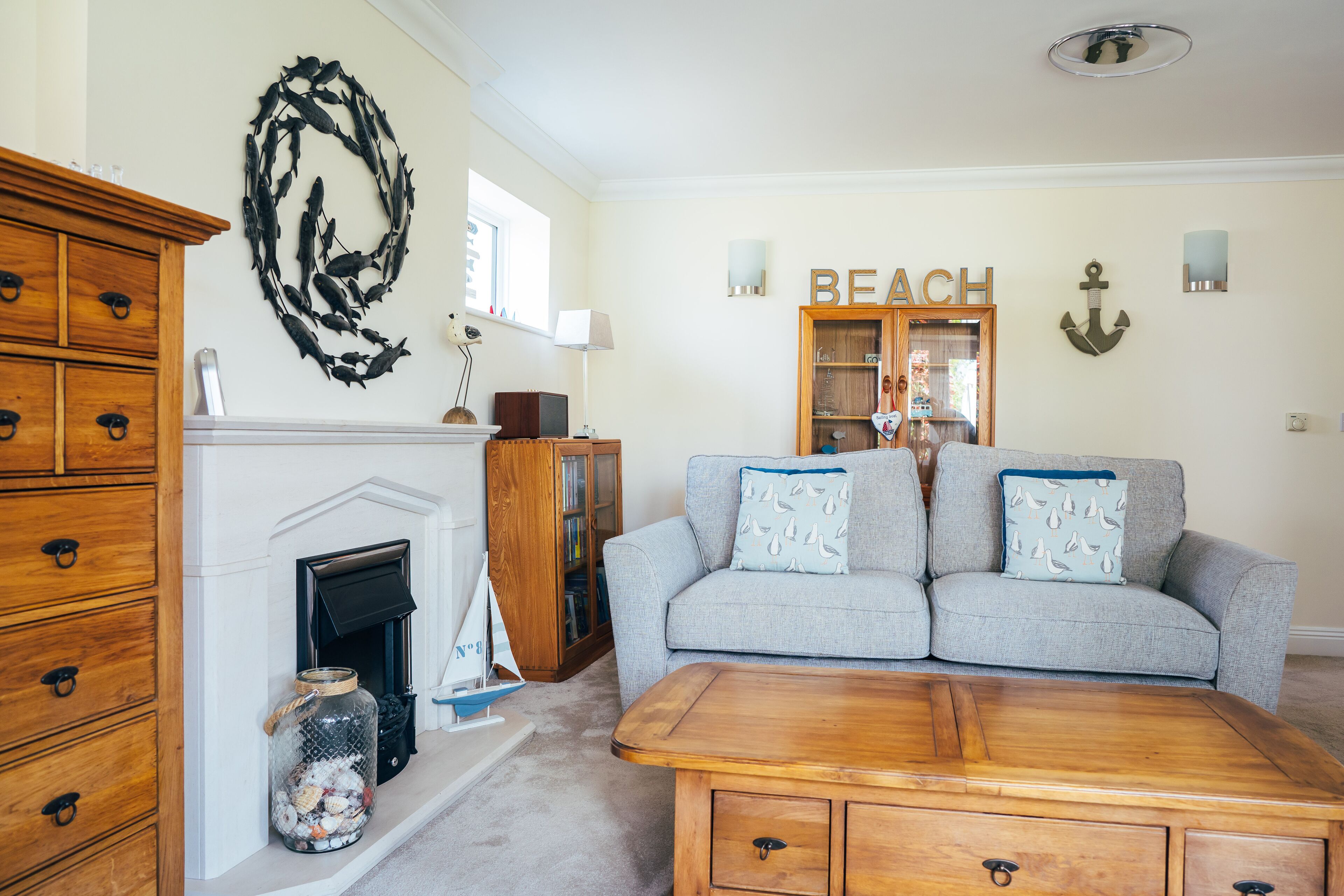 Smart TV, fireplace, DVD player, books