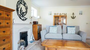 Smart TV, fireplace, DVD player, books