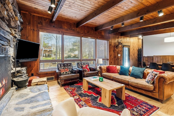 Smart TV, fireplace, books, music library