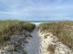 A sandy path leading to a beach with tall grass on either side.