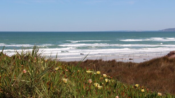 Une plage avec des vagues et de l’herbe au premier plan.