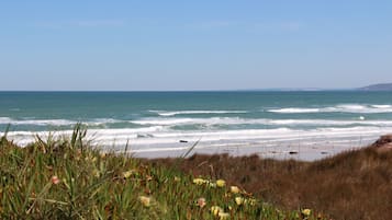 On the beach, sun loungers