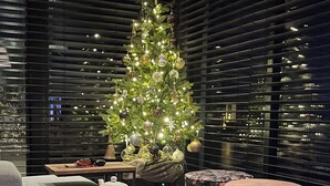A modern interior with a Christmas tree, a round table with various items, and a large window with blinds. - PUUR Eernewoude luxury cabin on open water in the Alde Feanen (Earnewald)
