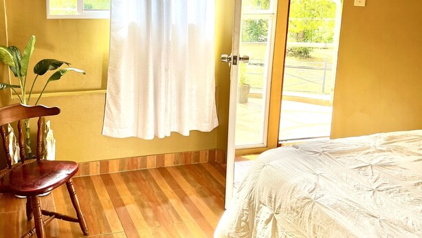 Une pièce avec un lit, un plancher en bois, une chaise, une plante en pot et une fenêtre avec des rideaux.