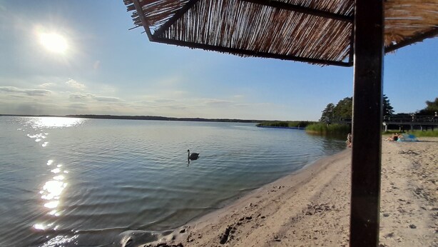 Una playa con una sombrilla de paja, agua tranquila y una costa distante.