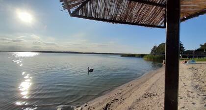 Villa Aurea a modern house in beautiful surroundings