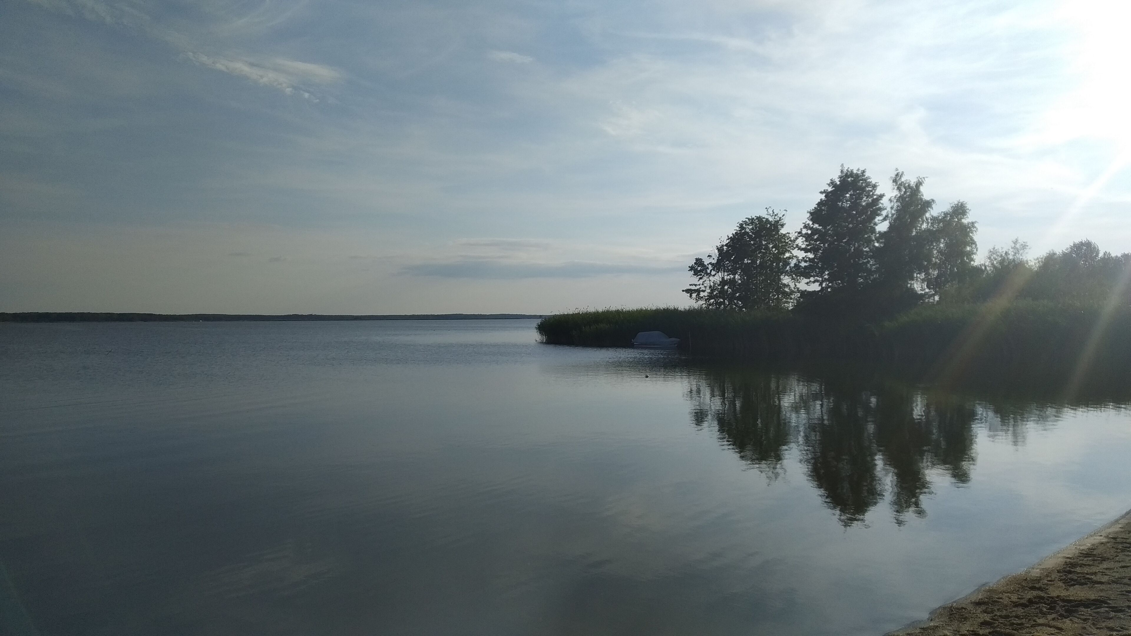 Un lago tranquilo con una pequeña isla de vegetación y árboles.
