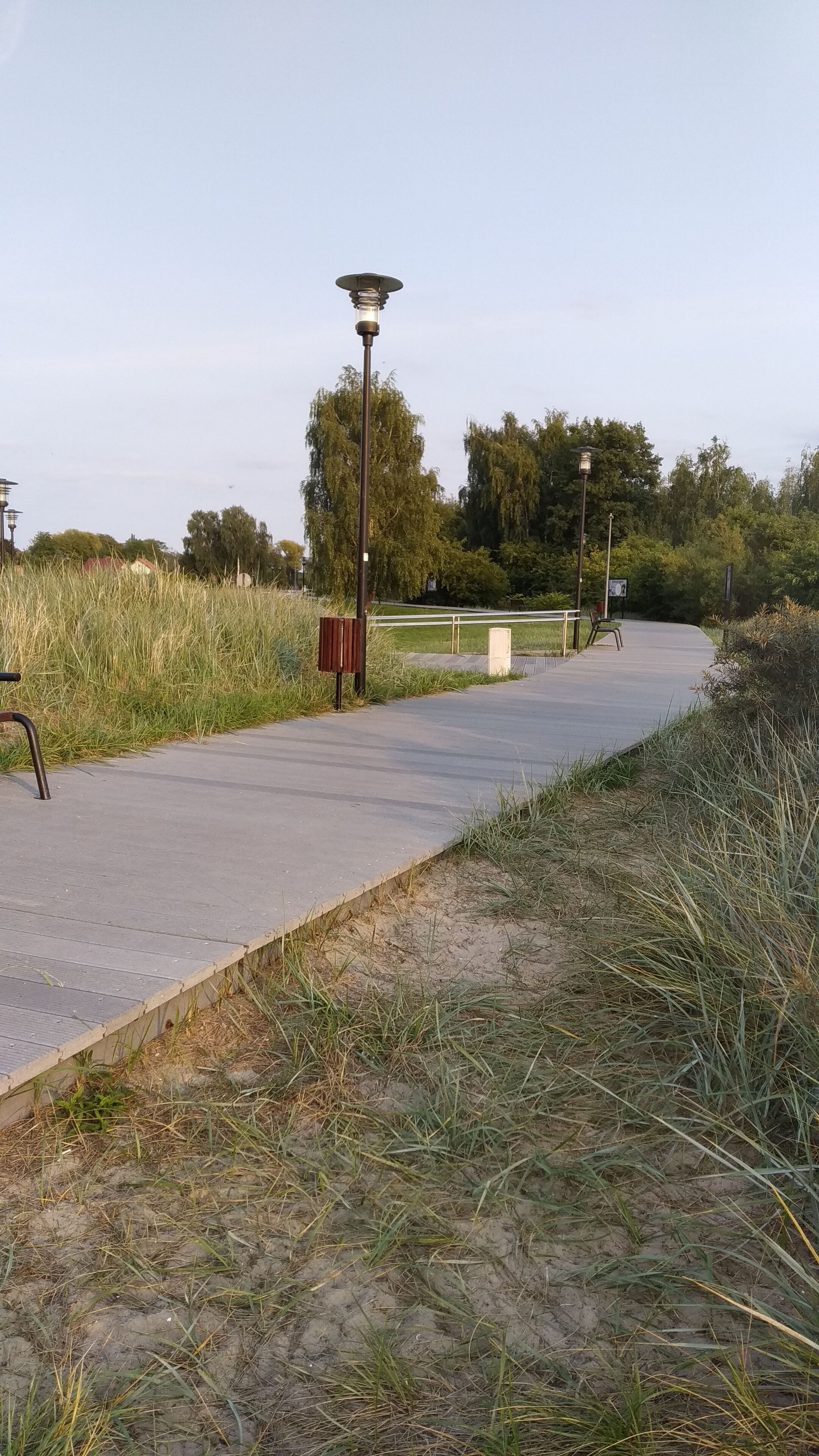 Un camino pavimentado en un parque, con una farola y bancos.