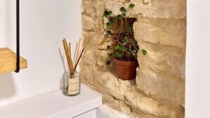 Une salle de bain avec un mur en pierre, une étagère en bois, un lavabo blanc et une plante en pot.