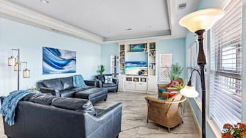 Televisor, reproductor de DVD i llibres