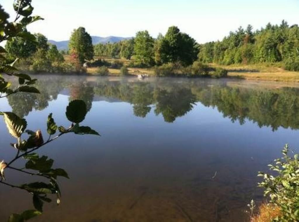 Un lac paisible où se reflètent les arbres et où le ciel est dégagé.