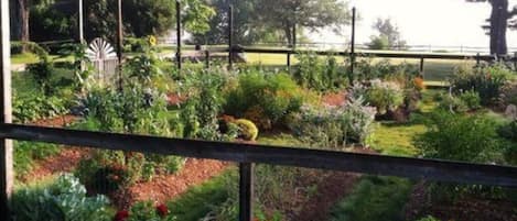 Terrain de lâhĂ©bergement