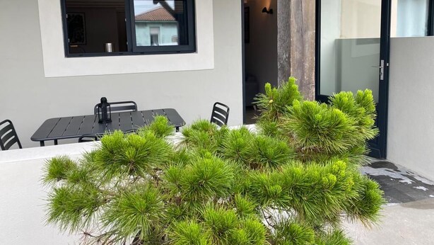 Un comedor con una mesa, sillas, una ventana y una puerta.