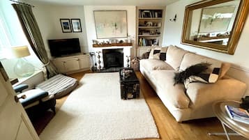 TV connectée, cheminée, livres, chaîne hi-fi