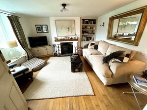 TV connectée, cheminée, livres, chaîne hi-fi