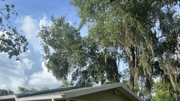 A single-story house with a large glass door and windows, surrounded by a grassy yard and trees. - Cute, clean home on big private lot in Inverness FL. (Inverness)