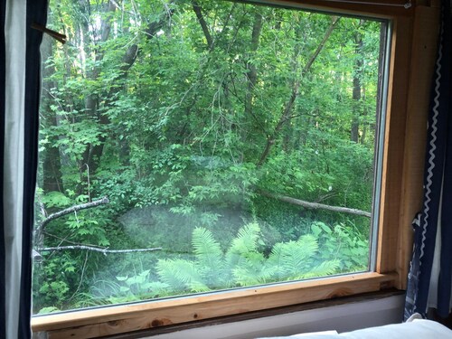 1/2 acre nature retreat -- cottage life with extra privacy