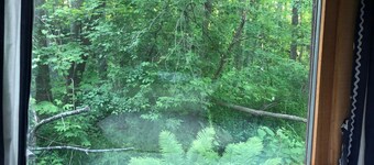 1/2 acre nature retreat -- cottage life with extra privacy