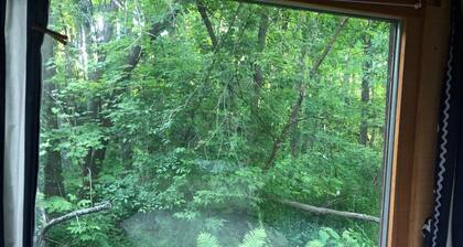 1/2 acre nature retreat -- cottage life with extra privacy