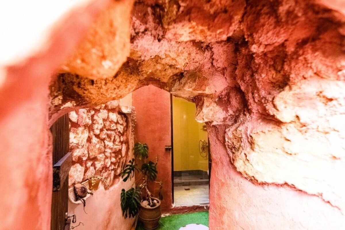 オーナーのプロフィール画像