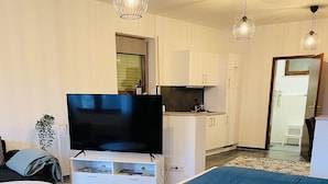 A modern bedroom with a large bed, a flat-screen TV, a dining table, and a kitchenette. - Emma vacation apartment on the Romantic Road (Weikersheim)