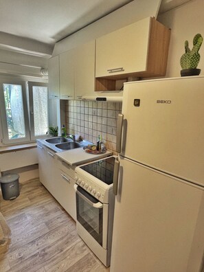 Fridge, oven, stovetop, electric kettle