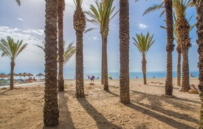 Een strand met palmbomen, ligbedden en parasols.
