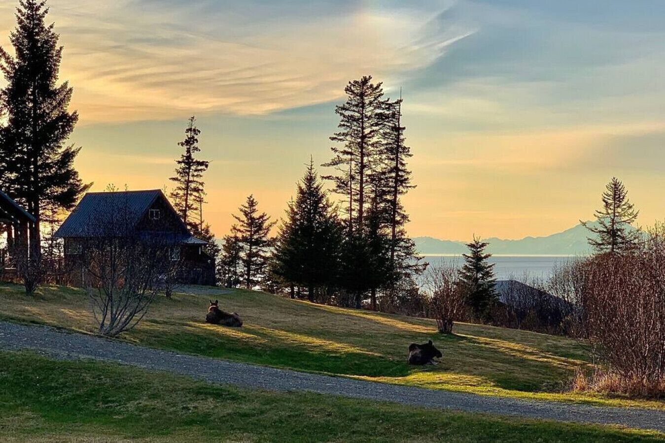 Un chalet rustique, accessible par un chemin de gravier, entouré de grands arbres à feuilles persistantes et offrant une vue sur un lac et des montagnes au loin.