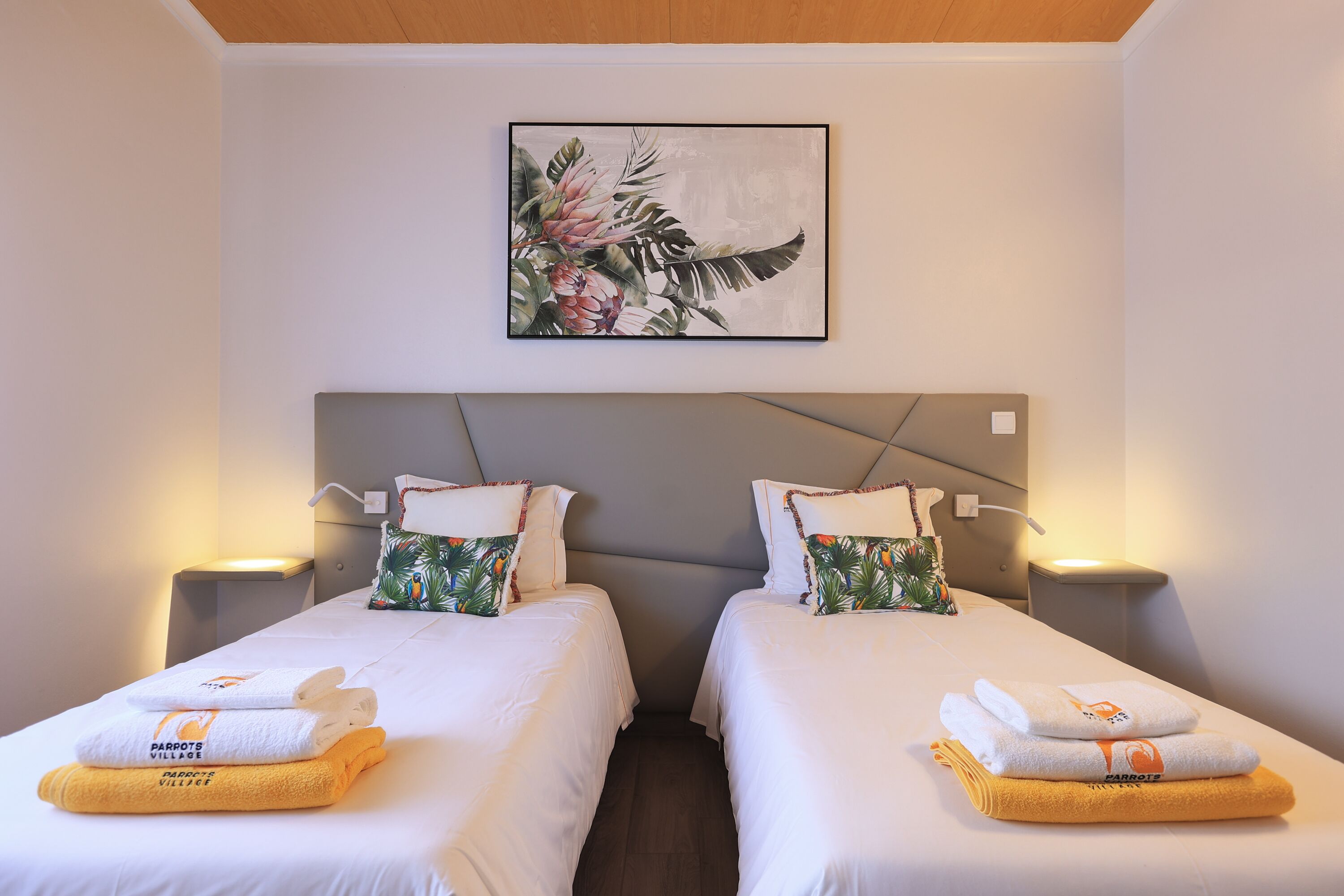 Photo - Parrots`Village