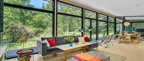 Smart TV, fireplace, DVD player