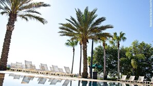 A poolside area with lounge chairs and palm trees.