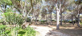 Accogliente casa con 1 camera da letto.