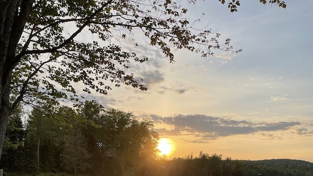 Eine hölzerne Anlegestelle führt in einen ruhigen See, umgeben von üppigem Grün und Bäumen.
