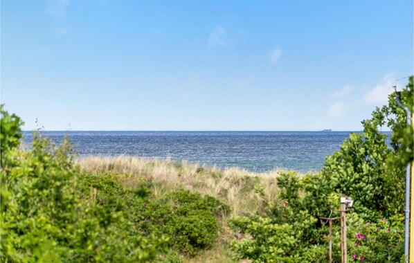 Vista costeira com um navio ao longe, emoldurada por vegetação e um céu limpo.