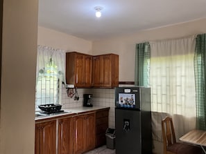 Fridge, oven, stovetop, electric kettle