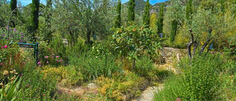 Áreas de la propiedad