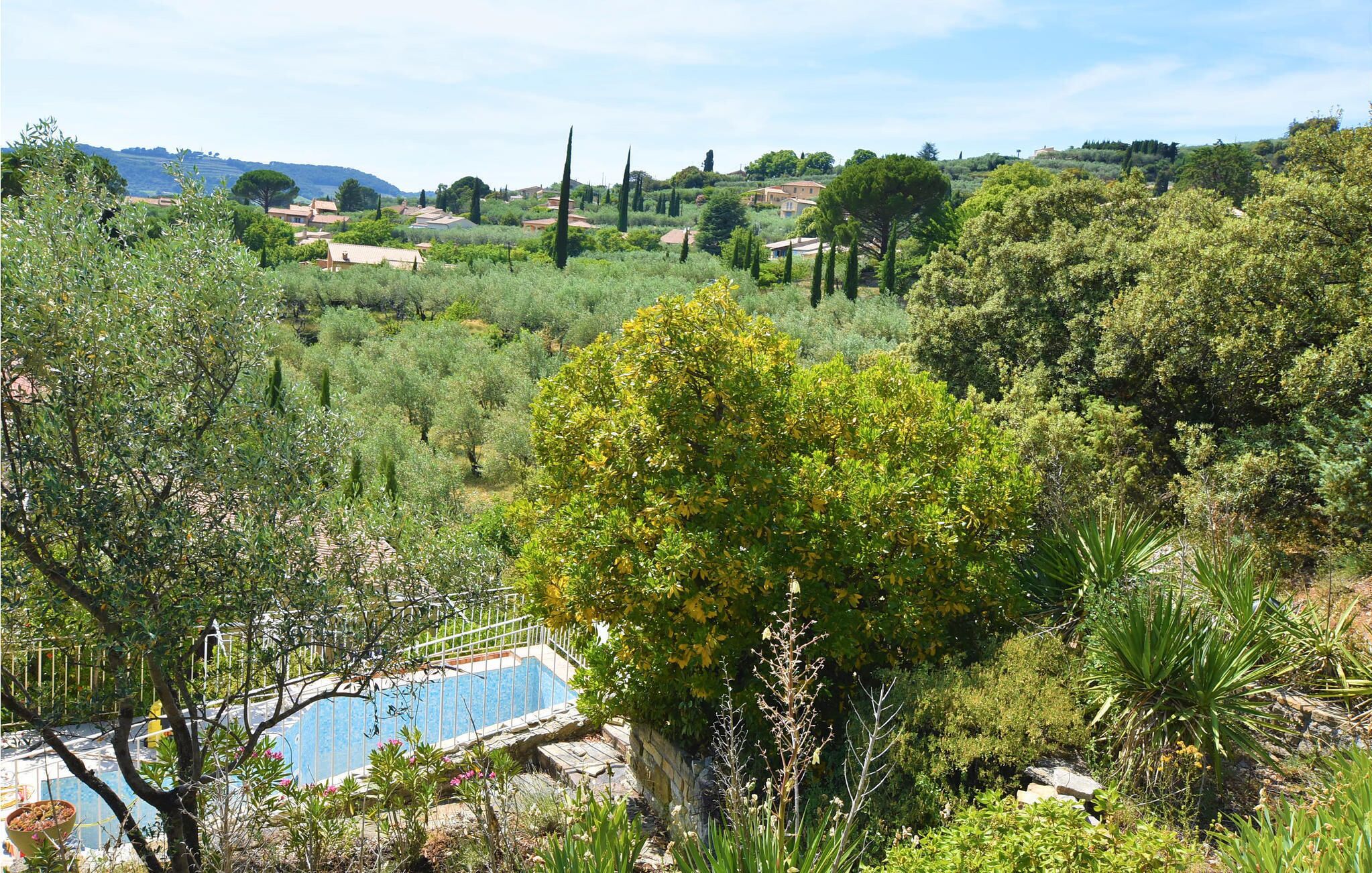 A lush garden with a swimming pool, surrounded by various trees and shrubs.